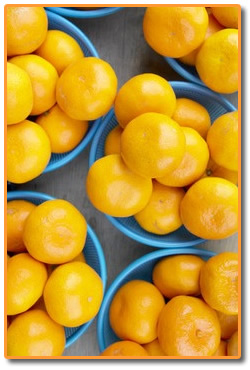 Citrus Baskets